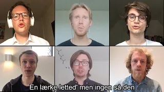 MAGT - En Lærke letted'