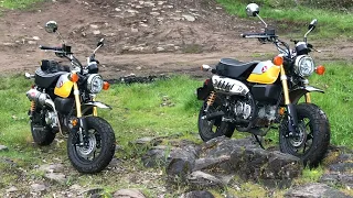 2022 Honda Monkey @ Wildwood Falls