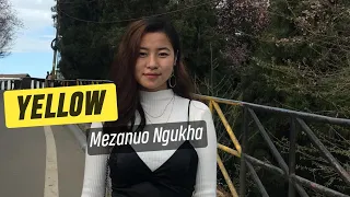 Yellow - Mezanuo Ngukha - Nagaland | Northeast crush
