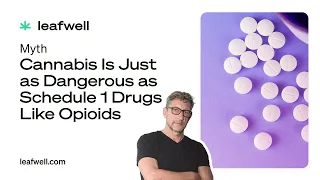 Why Is Cannabis Labeled as a Schedule 1 Drug?