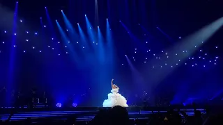 200201 Celine Dion - My Heart Will Go On, Fancam Houston TX, Courage Tour