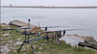 Річка Дністер. Ловля САЗАНА весною. Відкриття коропового сезону в березні 2024