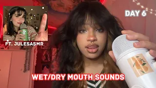 ASMR Wet/Dry Mouth Sounds ft. @JulesAsmr8 Mouth and Hand Sounds Collab