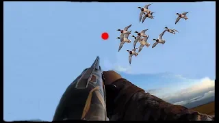 DUCK HUNTING + GUN CAMERA