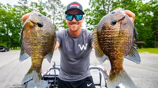 Catching MONSTER BLUEGILL Fishing a HIDDEN LAKE!! (Public Fishery)