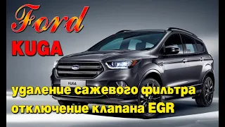 Ford Kuga 2.0 diesel: удаление сажевого фильтра (DPF), отключение клапана ЕГР