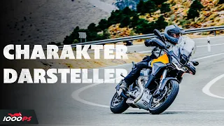 Moto Guzzi Stelvio erster Test - sportlicher als gedacht!