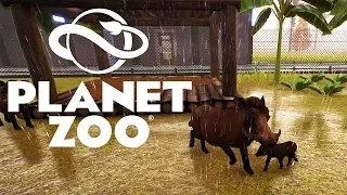 ПОДАРОК ОТ МАСЛИНЫ И БОРОДАВОЧНИКИ #2 PLANET ZOO ПРОХОЖДЕНИЕ