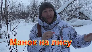 Манок на лису #1 охота на лис