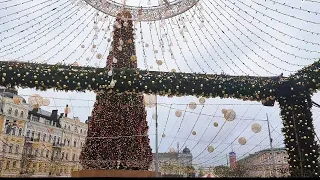 #главнаяелкаУкраины Главная ёлка Киева 2022🎄🌲🎄The main Christmas tree of Kiev