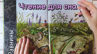 АСМР чтение для сна, обвожу буквы, близкий шепот • ASMR книга