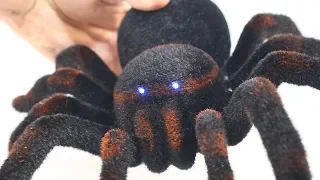 Remote Control SPIDER | RC Spider UNBOXING and PRANK!!