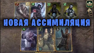 АССИМИЛЯЦИЯ и Торрес (Двойная игра) — гайд Гвинт (Gwent) Патч 10.12