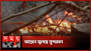 আগুন নেভাতে কেন ভোরের অপেক্ষা? | Sundarban Forest | Fire Incident | Somoy TV