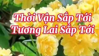 ✨🌻🌳Thời Vận Sắp Tới Của Bạn Thế Nào