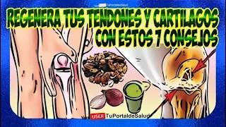 7 Consejos y Alimentos  Para Regenerar los Tendones y Cartílagos