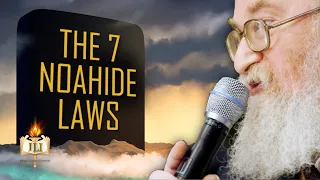 The Truth About the 7 Noahide Laws