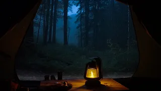 Sleep Immediately In A Tent On A Rainy Day - Rain sounds for a Good Night's sleep, Stress Relief