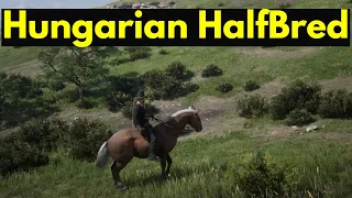 Hungarian Halfbred spawn location Red Dead Redemption 2