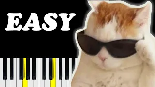 Cat Vibing to Ievan Polkka EASY Piano Tutorial