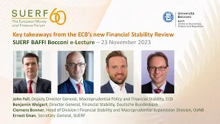 SUERF - ECB Financial Stability Review - November 2023 - 20231123
