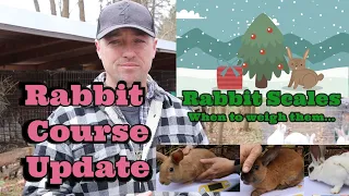 Rabbit Course Questions Answered/Rabbit Scales