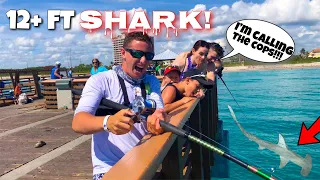 Catching MASSIVE SHARK at PUBLIC Pier!