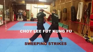 Kung Fu Choy Lee Fut Sweeping Strikes