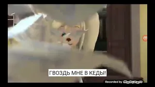 барбоскины гвоздь мне в кеды!