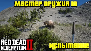 Прохождение RDR 2 на 100% - Испытание: Мастер оружия 10 (Глава 2 - Нагорье Подкова)