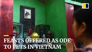 Feasts offered as ode to pets in Vietnam
