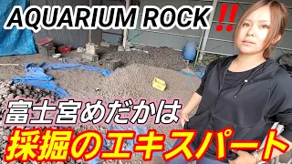 富士山の麓で自ら採掘‼️富士砂採掘のエキスパート登場【富士宮めだか】WI-03.しまじろう.みかん.AQUARIUM ROCK.安らぎAQUAちゃんねる