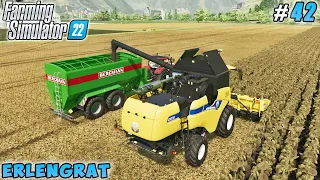 Building paddock for lambs, grass mowing, sunflower harvest | Erlengrat | FS 22 | Timelapse #42