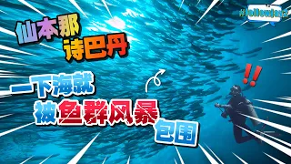 【Ep 5】【仙本那】诗巴丹：上帝的水族箱，名副其实！｜Sipadan: The Legendary God's Aquarium｜#followjay2