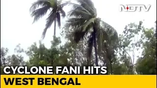 Cyclone Fani Hits Bengal, Triggers Heavy Rain, Uproots Trees