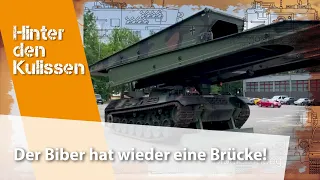 Der Biber hat eine neue Brücke!