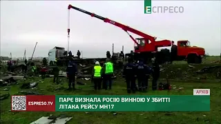 ПАРЄ визнала Росію винною у збитті літака рейсу МН17