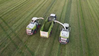 !!! Häcksler im Doppelpack !!! ERSTER SCHNITT 2023 - CLAAS, KRONE, FLIEGL / first cut 2023