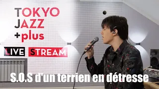 Dimash - S.O.S D'un Terrien En Détresse | Tokyo Jazz Festival 2020