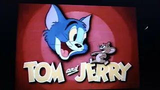 Happt 82nd Anniversary of TOM & JERRY (For Incredibubble Irish Guy and Darius Johnson)