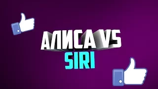 БИТВА 2-Х БОТОВ|КТО ЖЕ ПОБЕДИТ?|АЛИСА VS SIRI