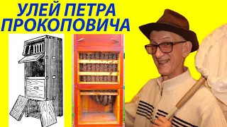 Унікальний Вулик Петра Прокоповича - Міфи і Конструкція. Перший Стільник? Унікальність і Новизна?