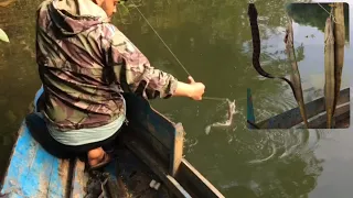 Eel fishing with new technique[बाम माछा]-amazing fishing skills/fishing nepal