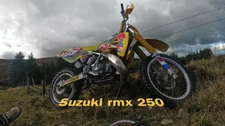 Suzuki rmx 250 enduro