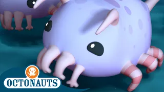 Octonauts - The Sea Pigs | Cartoons for Kids | Underwater Sea Education