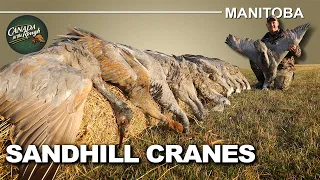 Dream Sandhill Crane Hunting in Manitoba | Canada in the Rough