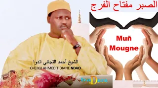 Ngëneel yi nekk ci muñ (Mougne) la tolérance | PAR CHEIKH AHMED TIDIANE NDAO