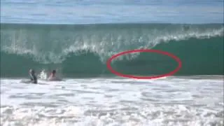 Did a great white shark photobomb surfing kids at Manhattan Beach, Calif.?  - 2015 Attacks