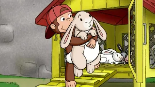 La caccia ai conigli di George 🐵 Curioso Come George 🐵 Cartoni per Bambini