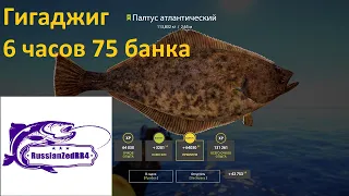 РР4.Норвежское Море.6 часов на Гигаджиг . 75 банка